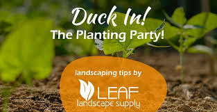 Plant Nursery Landscape Supplier