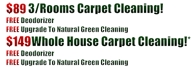 89 3 rooms carpet cleaning bronx