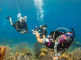 Professional Association of Diving Instructors | PADI
