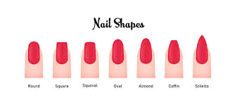 comprehensive guide to nail shapes