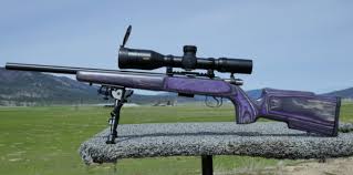 gear review boyds rimfire stocks the