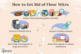 how to get rid of flour mites