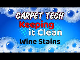 carpet odor stain removal service