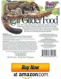 Sugar Glider Food And Diet List Keeping Your Sugar Glider