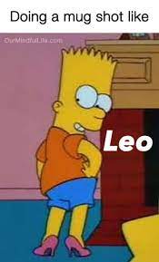 Stressing this for a reason, y'all: 27 Relatable Leo Memes That Will Make You Feel Attacked