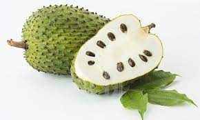 Khasiat dari buah durian belanda ini memberikan kesan anti tumor / kanser yang sangat kuat, dan terbukti secara perubatan menyembuhkan segala jenis kanser. Khasiat Buah Durian Belanda Untuk Kesihatan Ana Suhana