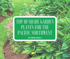 Top 10 Shade Garden Plants For The