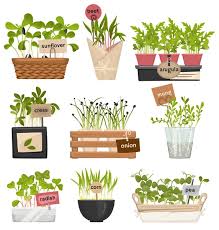 Putting Plants Icons Set Stock Vector
