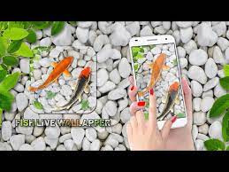 fish live wallpaper aquarium apps on