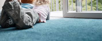 hawkes bay carpet cleaning services