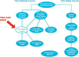 Flow Chart Court Process In Florida Diagram