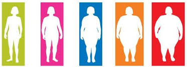 What Is Body Mass Index Bmi Body Mass Index