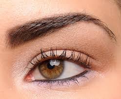 makeup look warm neutral eyes with