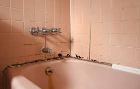 bathtub shower caulking tips carr