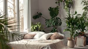 the best plants for the bedroom hint