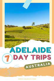 7 must do day trips from adelaide how