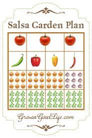 how to grow a salsa garden