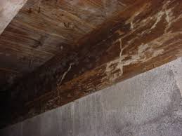 structural floor wood repair american