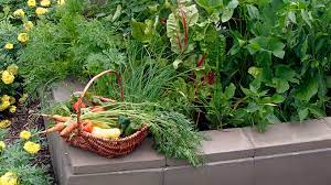 produce for square foot gardens