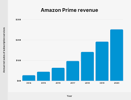 prime user and revenue