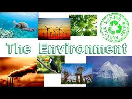 The Environment . Learn English - YouTube