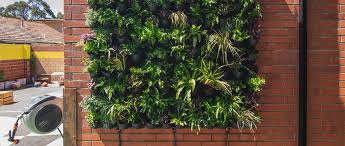 Howto Create A Greenwall Vertical Garden