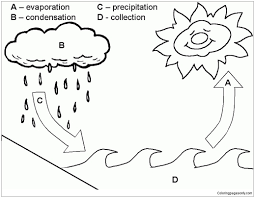 More 100 coloring pages from nature coloring pages category. Water Cycle Coloring Pages Natural Phenomena Coloring Pages Coloring Pages For Kids And Adults