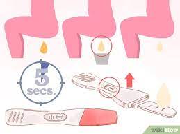 The first step is to take a clean, dry and glass or plastic container to collect the woman's urine. How To Use A Home Pregnancy Test 8 Steps With Pictures
