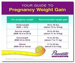 Factual Fetus Weight Fetal Weight Chart Kg Weight Gain By