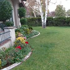 Caring For Your Lawn In The Winter A