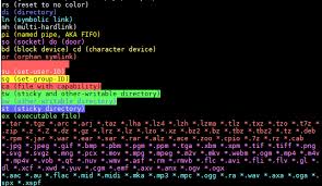 color code of linux files