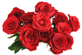 15 free rose bouquet pictures pikwizard
