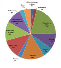 University Of Houston Ethnic Diversity Pie Chart
