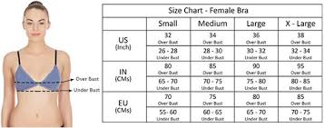 Size Chart For La Intimo Womens Bra Buy Online In India