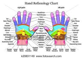Hand Reflexology Chart Description Clip Art K20831149