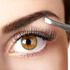 As they are so much finer, multiple lashes can be added to one natural lash to create much more depth. Lash Brow Treatments Oolan Studio Fayetteville Ga Usa