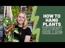 how to hang plants without drilling