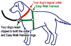Easy Walk Harness Dog Harness Stops Dog Pulling
