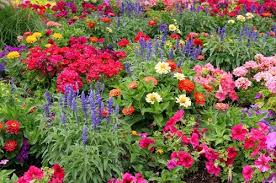 10 Top Tips For Flower Gardening How