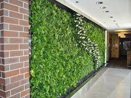artificial wall plant