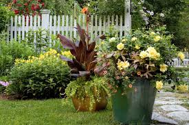 Plants For A Wow Worthy Container