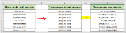 format phone number with extension