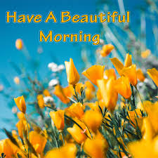 See more ideas about good morning, good morning quotes, good morning greetings. Have A Beautiful Morning Flowers Images Good Morning Images Quotes Wishes Messages Greetings Ecards