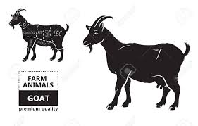 Vector Illustration Goat Cuts Diagram Or Chart Goat Black Silhouette