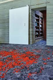 introducing lichen nature s carpet