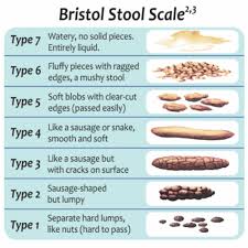 Healthy Stool Chart Bristol Bschart Twitter