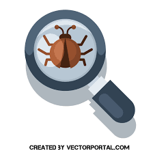 Bug Under Magnifying Glass Royalty Free