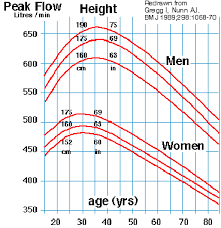 Valid Peak Flow Interpretation Peak Flow Meter Zone Chart