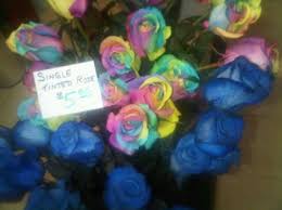 tinted roses blue or purple phone