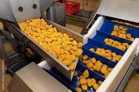 Chicken nuggets production line. Factory for the production of food from meat Stock Photo | Adobe Stock